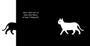 chat noir chat blanc book